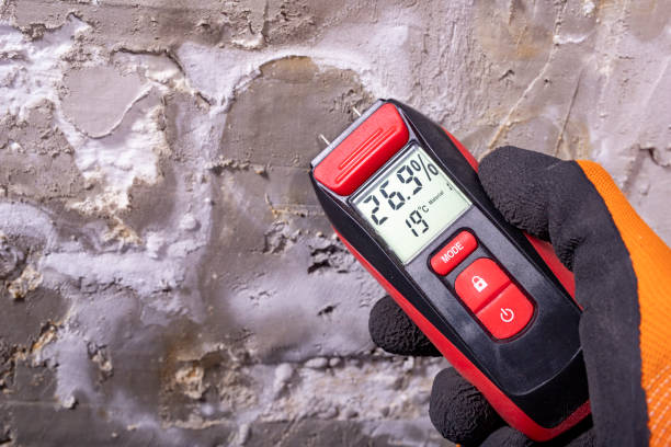 Best Post-Flood Mold Remediation in Collegedale, TN
